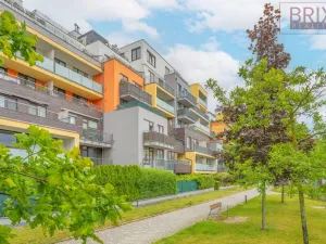 Pronájem bytu 2+kk, Praha, Svitákova, 54 m2
