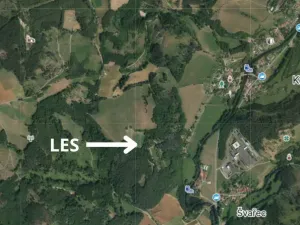Prodej lesa, Koroužné, 4497 m2