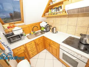 Prodej komerční nemovitosti, Slatina nad Zdobnicí, 572 m2