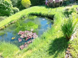 Prodej rodinného domu, Rotava - Smolná, 160 m2