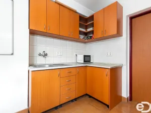 Pronájem výrobních prostor, Rokytno, 298 m2