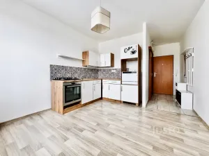 Prodej bytu 1+1, Ústí nad Labem - Severní Terasa, Meruňková, 35 m2