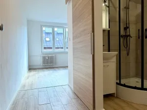 Pronájem bytu 1+kk, Cheb, Nová, 20 m2