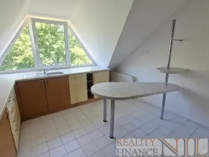 Pronájem bytu 2+kk, Tlučná, V Rybníčkách, 52 m2