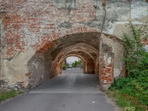 Prodej historického objektu, Tasovice, 1100 m2