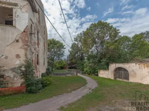 Prodej historického objektu, Tasovice, 1100 m2