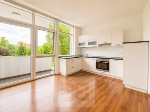 Prodej bytu 2+kk, Ostrava, Sadová, 97 m2