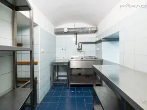 Pronájem restaurace, Praha - Vinohrady, Chorvatská, 207 m2