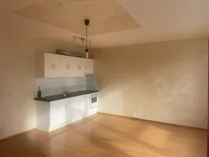 Pronájem bytu 1+kk, Praha - Štěrboholy, Laudonova, 42 m2