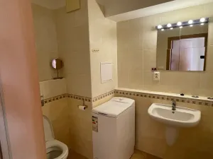 Pronájem bytu 1+kk, Praha - Štěrboholy, Laudonova, 42 m2