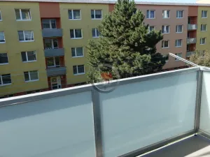 Pronájem bytu 1+1, Třebíč - Nové Dvory, Tolstého, 37 m2