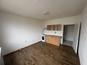 Pronájem bytu 1+kk, Bílina - Teplické Předměstí, Sídliště Za Chlumem, 19 m2