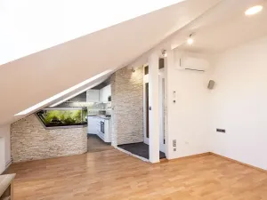 Pronájem bytu 2+kk, Opava, Mánesova, 48 m2