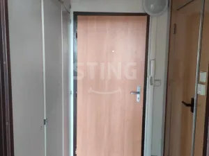 Prodej bytu 1+kk, Orlová, F. S. Tůmy, 33 m2