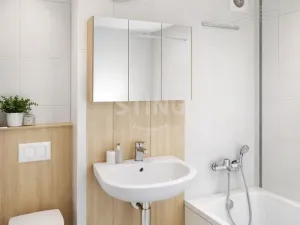 Prodej bytu 1+kk, Orlová, F. S. Tůmy, 33 m2