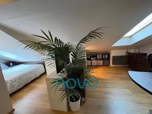 Pronájem bytu 3+1, Praha - Vinohrady, Na Kozačce, 115 m2