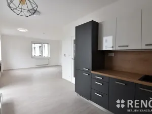 Pronájem bytu 1+kk, Brno, Reissigova, 42 m2