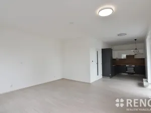 Pronájem bytu 1+kk, Brno, Reissigova, 42 m2
