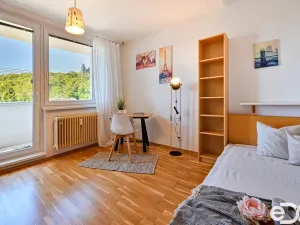Pronájem bytu 1+1, Brno, Vychodilova, 42 m2