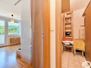 Pronájem bytu 1+1, Brno, Vychodilova, 42 m2