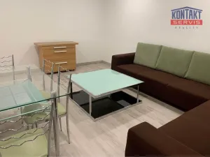 Pronájem bytu 2+kk, České Budějovice, Boršovská, 52 m2