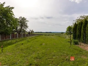 Prodej rodinného domu, Opava - Suché Lazce, Přerovecká, 358 m2
