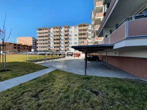Pronájem bytu 1+kk, Olomouc - Povel, Janského, 28 m2