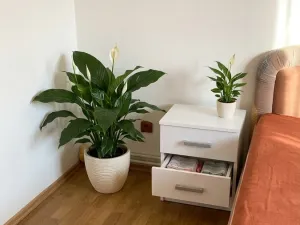 Prodej bytu 3+1, Teplice, Teplická, 110 m2