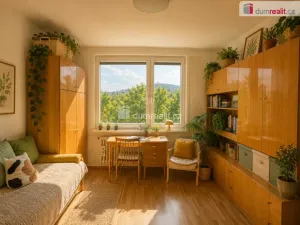 Pronájem bytu 3+1, Ústí nad Labem - Severní Terasa, Svojsíkova, 65 m2