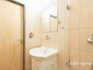 Pronájem bytu 2+kk, České Budějovice - České Budějovice 7, Papírenská, 38 m2