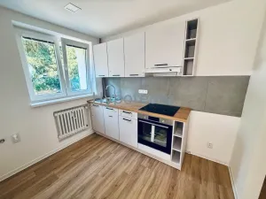 Pronájem bytu 3+1, Ústí nad Labem - Střekov, Truhlářova, 60 m2