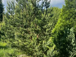 Prodej rodinného domu, Domašov u Šternberka, 400 m2