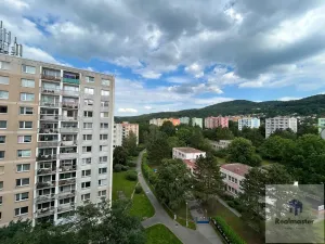 Prodej bytu 2+1, Ústí nad Labem - Střekov, Nová, 64 m2