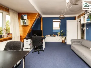 Prodej bytu 3+1, Cheb, Spálená, 67 m2