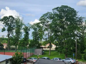 Pronájem bytu 1+1, Jihlava, Hálkova, 39 m2