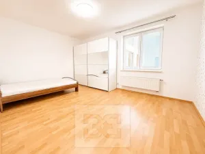 Pronájem bytu 3+kk, Brno, U Leskavy, 94 m2