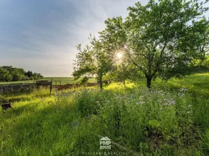 Prodej rodinného domu, Letovice, 98 m2