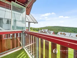 Prodej bytu 3+kk, Vítkovice, 96 m2