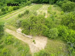 Prodej sadu/vinice, Moravské Bránice, 2403 m2