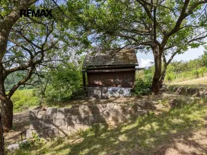 Prodej sadu/vinice, Moravské Bránice, 2403 m2