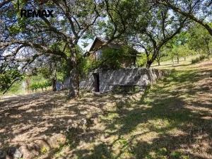 Prodej sadu/vinice, Moravské Bránice, 2403 m2