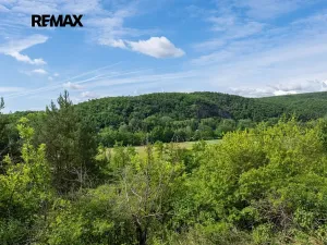 Prodej sadu/vinice, Moravské Bránice, 2403 m2