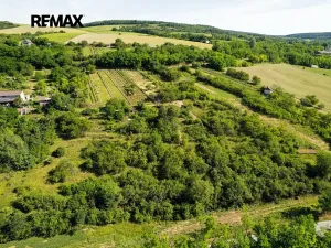 Prodej sadu/vinice, Moravské Bránice, 2403 m2