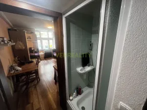 Prodej bytu 1+kk, Praha - Vinohrady, Písecká, 25 m2