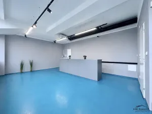 Pronájem obchodního prostoru, Pardubice, Bělehradská, 35 m2