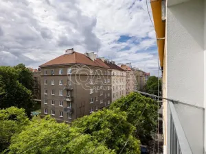 Prodej bytu 2+1, Praha - Žižkov, Biskupcova, 82 m2