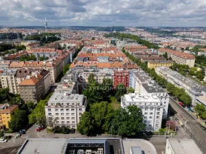 Prodej bytu 2+1, Praha - Žižkov, Biskupcova, 82 m2