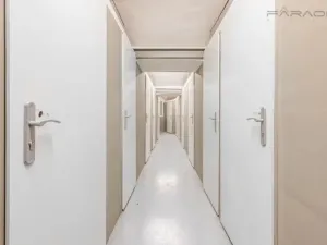 Prodej bytu 1+1, Praha - Libeň, Zenklova, 30 m2