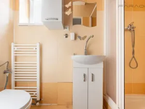 Prodej bytu 1+1, Praha - Libeň, Zenklova, 30 m2