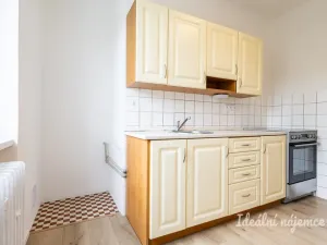 Pronájem bytu 2+1, Praha - Podolí, Dvorecká, 57 m2